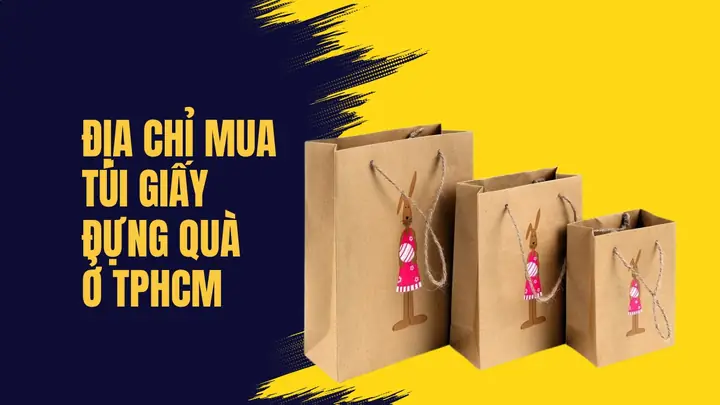 Các Địa Chỉ Uy Tín Mua Túi Giấy Đựng Quà TPHCM Chất Lượng