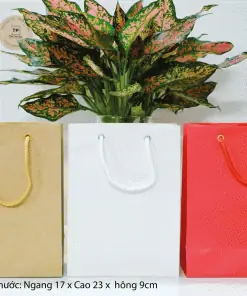 Túi giấy quà tặng có sẵn: Hướng dẫn chọn mua và sử dụng hiệu quả Túi giấy quà tặng có sẵn: Hướng dẫn chọn mua và sử dụng hiệu quả