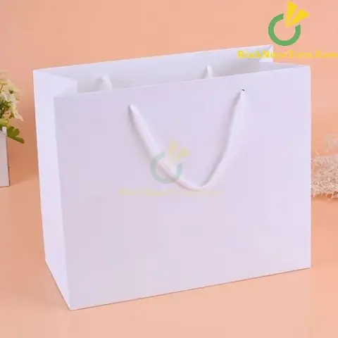 Túi Xách Giấy Đựng Quà: Từ Lựa Chọn Đến Tối Ưu Trải Nghiệm Tặng Quà
