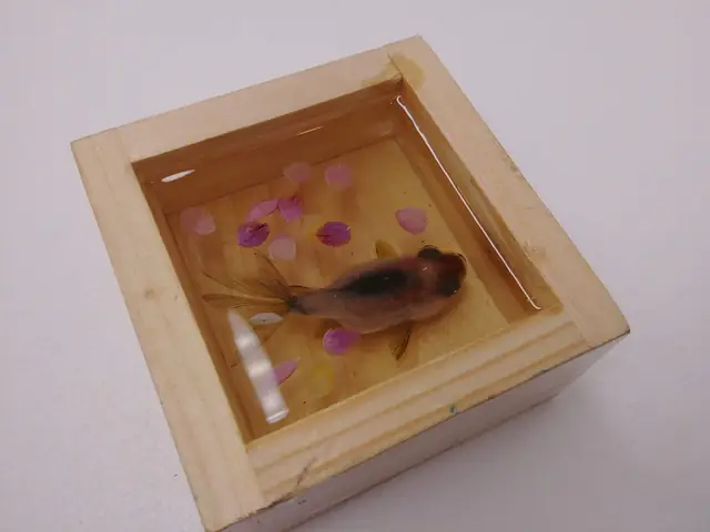 Hướng dẫn vẽ trang trí hộp quà bằng kỹ thuật origami và calligraphy?