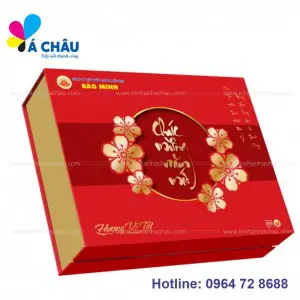 HỘP QUÀ TẾT BÁN SẴN TẠI HÀ ĐÔNG