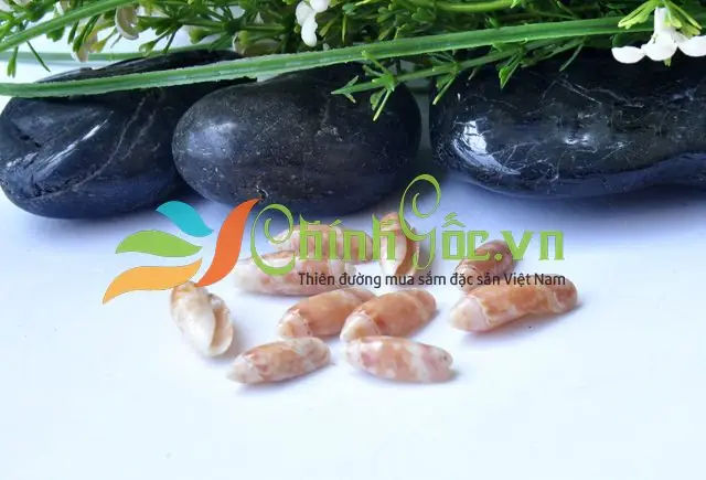 Vỏ ốc biển quà lưu niệm: Ý nghĩa, Cách chọn và Nét đẹp văn hóa Vỏ ốc biển quà lưu niệm: Ý nghĩa, Cách chọn và Nét đẹp văn hóa