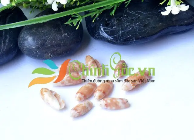 Vỏ ốc biển quà lưu niệm: Ý nghĩa, Cách chọn và Nét đẹp văn hóa Vỏ ốc biển quà lưu niệm: Ý nghĩa, Cách chọn và Nét đẹp văn hóa